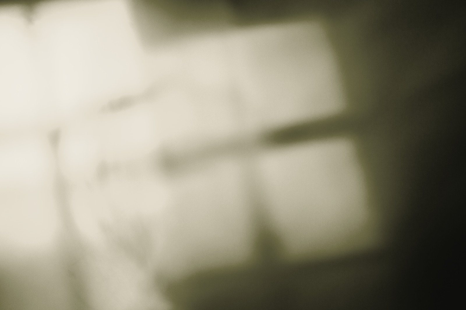 Soft window light in olive tones falling across a wall, out of focus.
